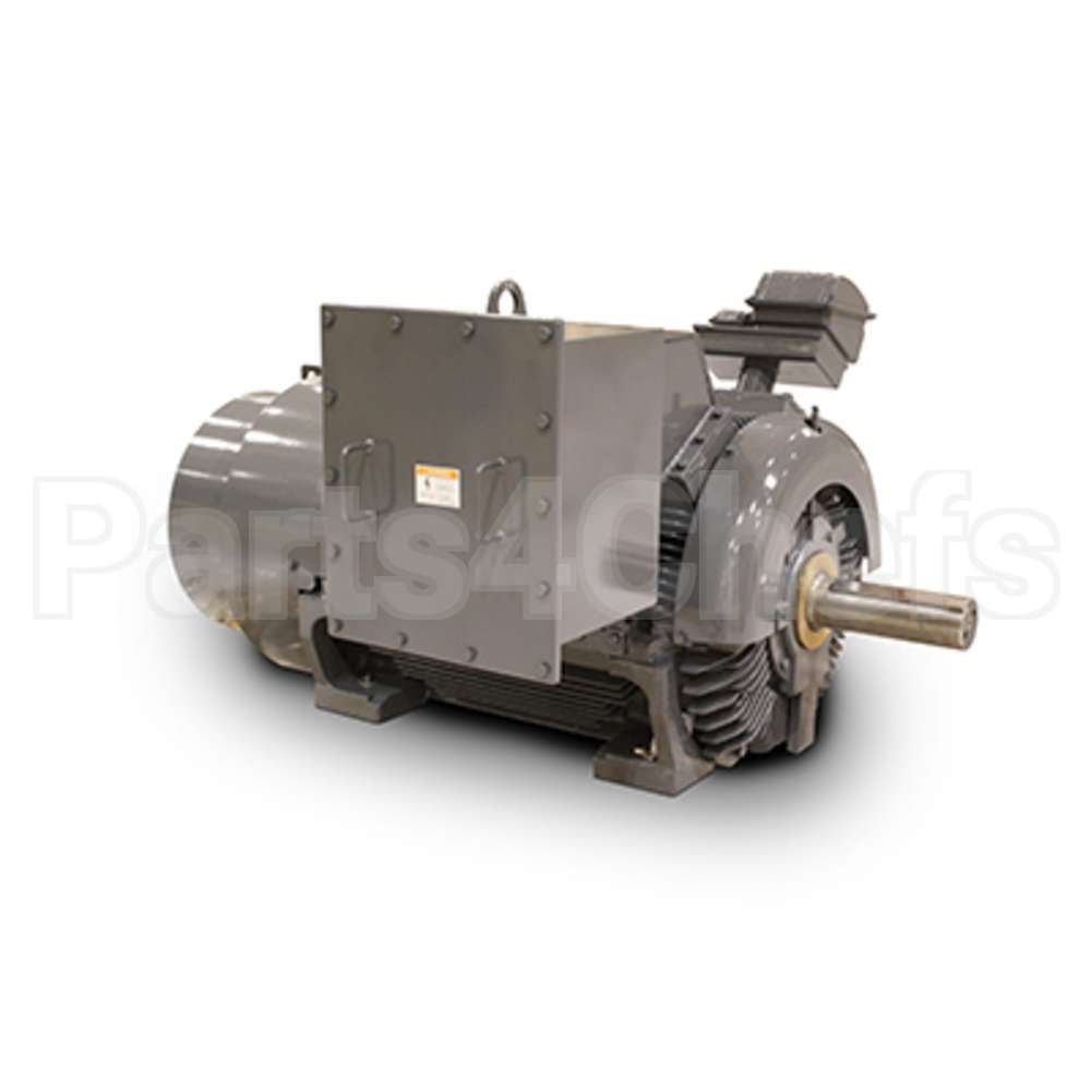 JH15006 Teco Medium Voltage Motor