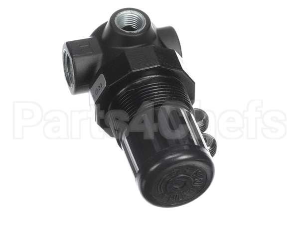 JT-R07200RNAA Joe Tap Regulator, 1/4" Npt, 1-10 Psi