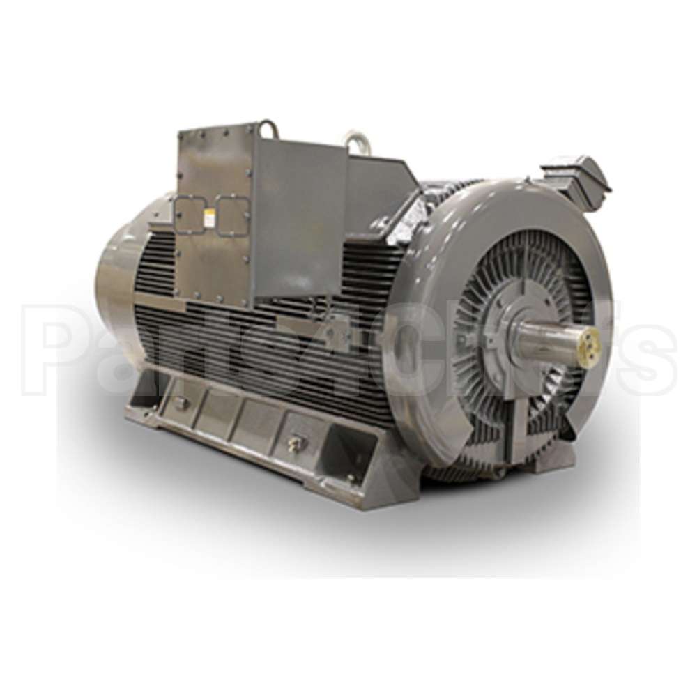 KG1002 Teco Medium Voltage Motor