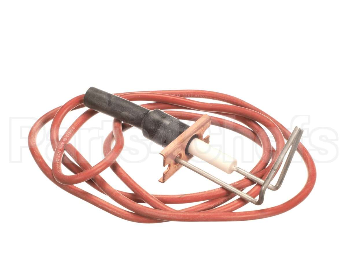 LH33WZ010 Bryant Payne Ignitor