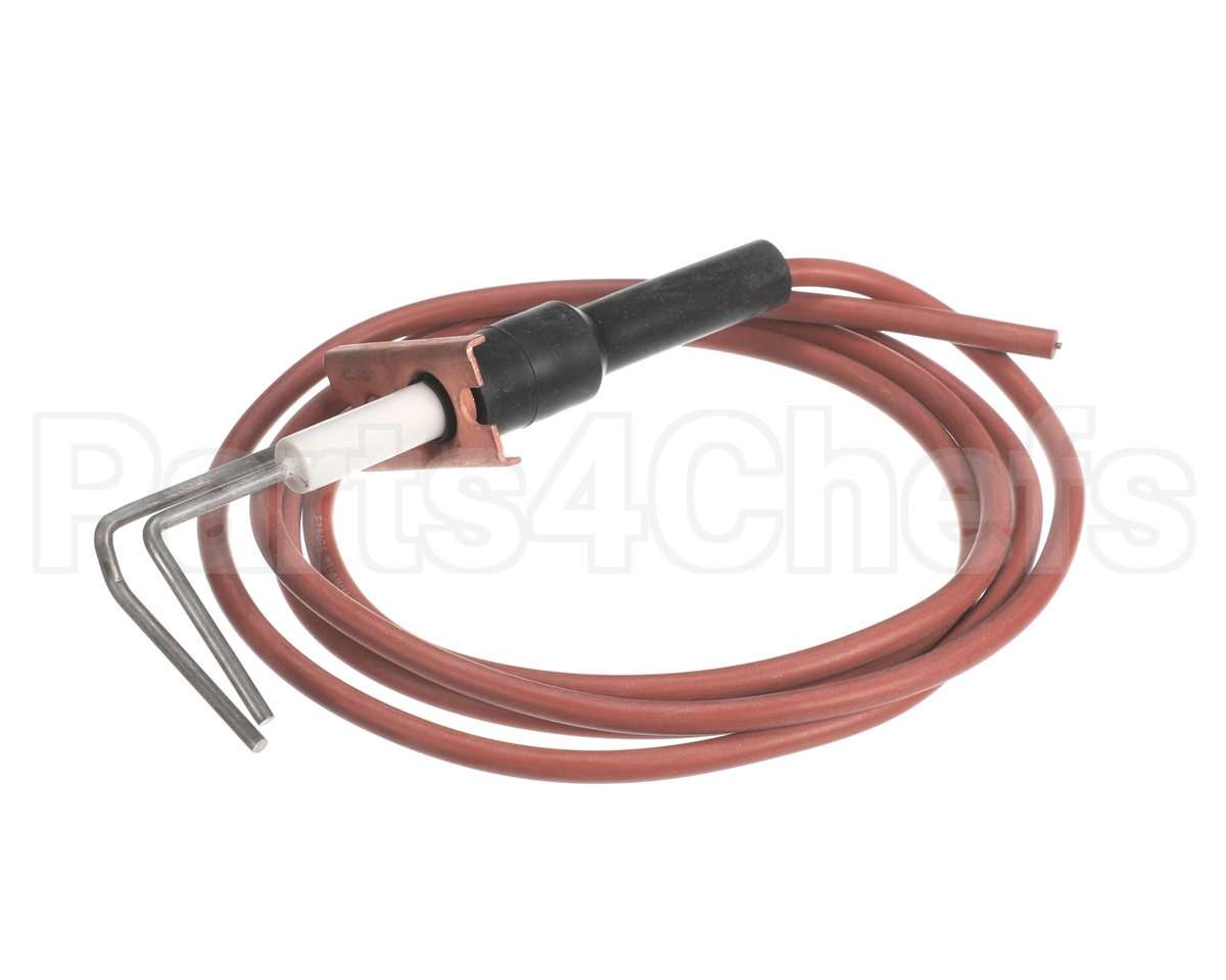 LH33WZ018 Bryant Payne Ignitor