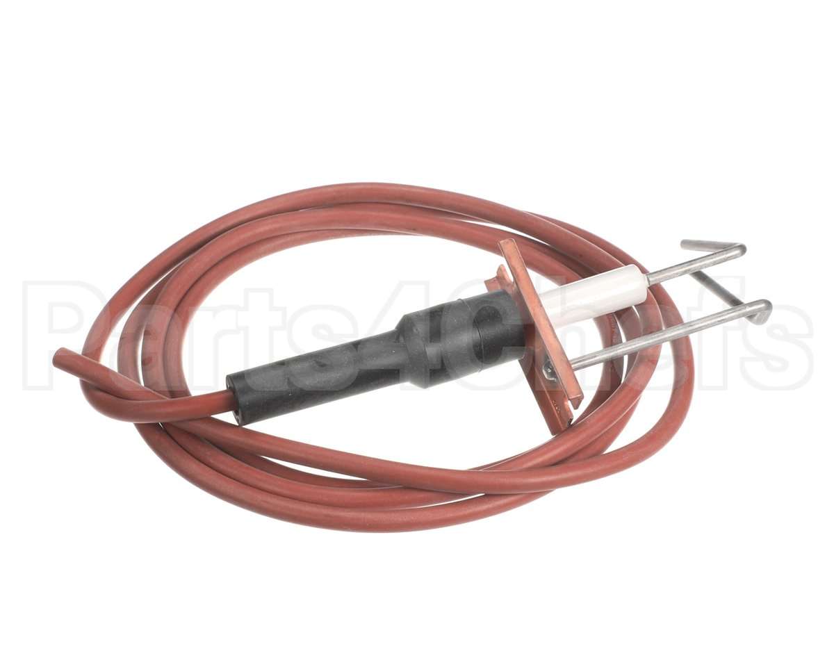 LH33WZ018 Bryant Payne Ignitor