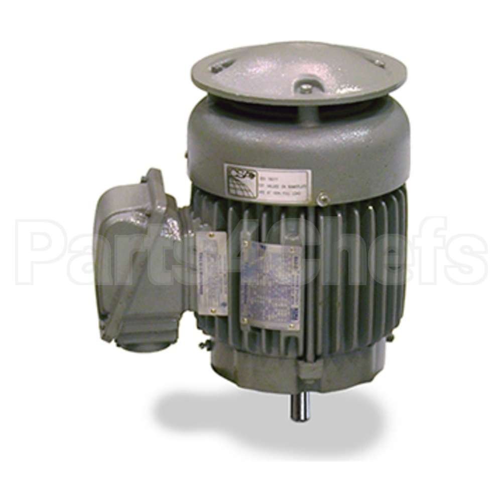 NPV1256P Teco Motor
