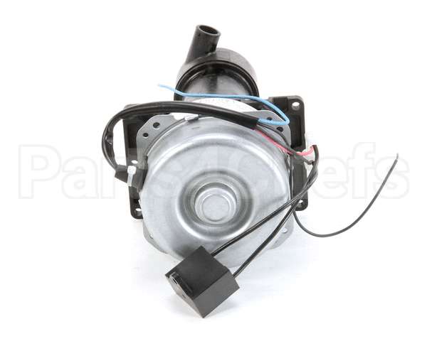 P00468-01 Hoshizakipump Assembly(