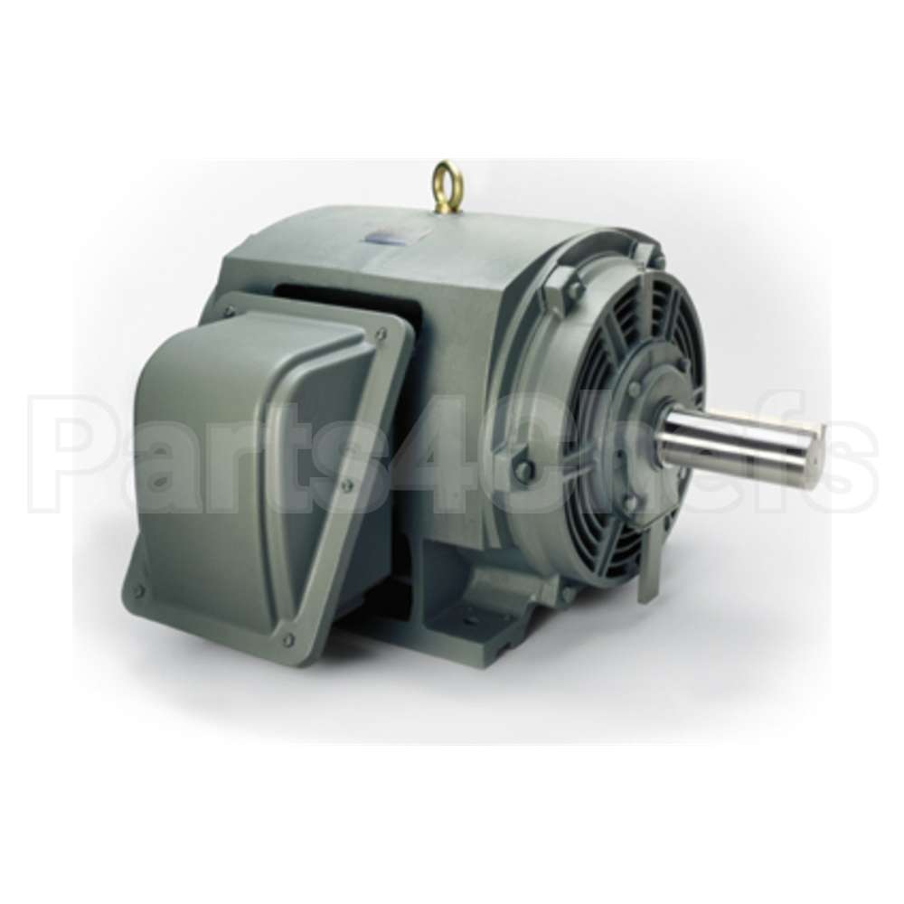 P1004 Teco Medium Voltage Motor
