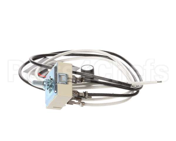 R02.19.160.00 Hatco Kit,100V Infinite Switch&Leads