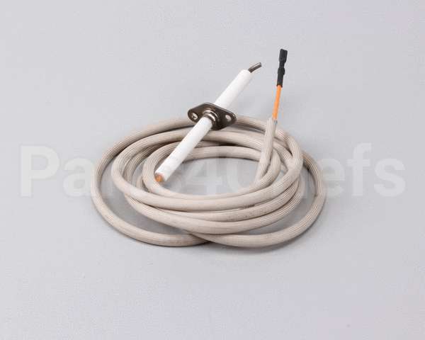 R10052 American Range Electrode,70Assembly Arr-Gril
