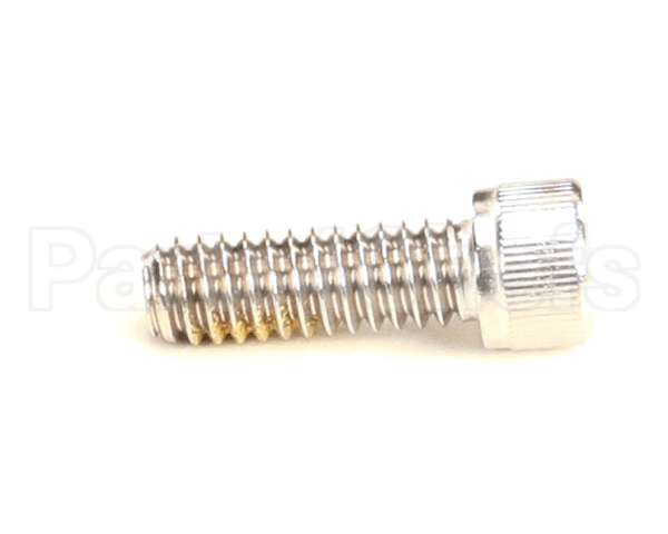 R11105 Blodgett Screw,Cap 1/4-20 X .75 Skthd