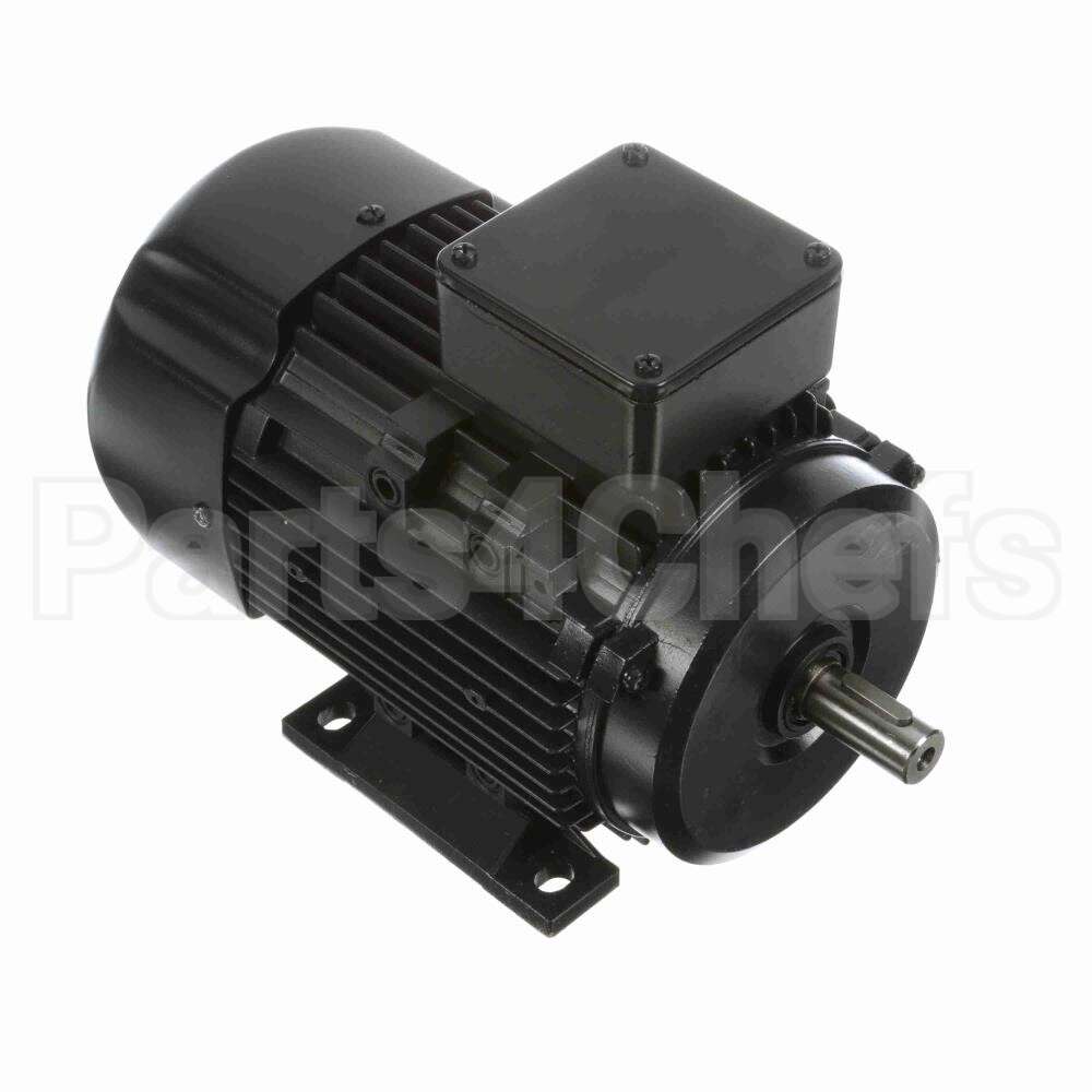 R313A Marathon Motor