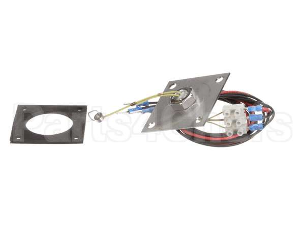 R3142 Blodgett Level Probe Assembly, Long