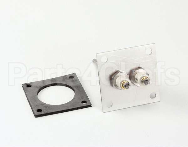R6965 Blodgett Kit, Level Probe Assembly