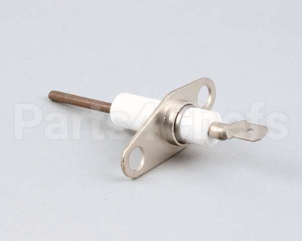 R86790 Aaon Probe Flame Sensor