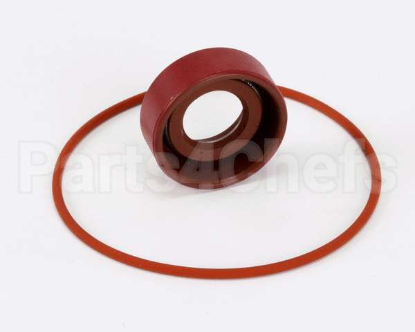RK0004 Bki Repair Kit, Haight Pump