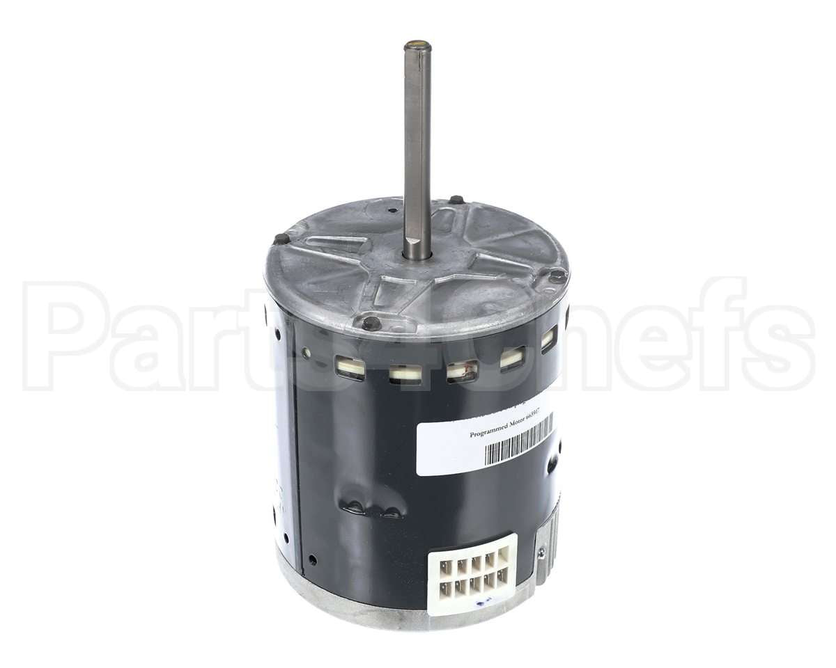 S1-02436016000 York Mtr,Blw,Prgrm,3/4,230V,Std Ecm,Regal