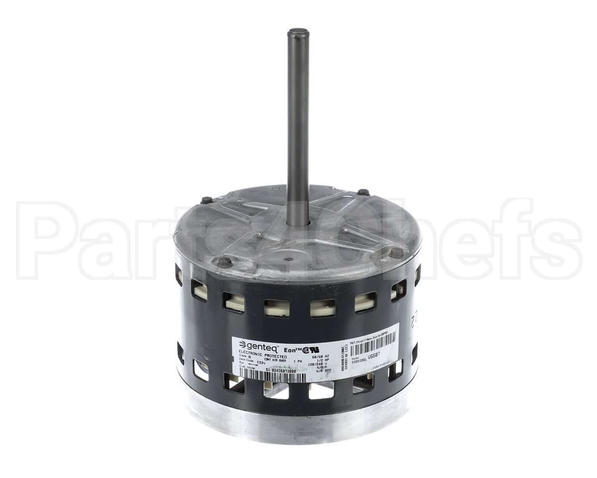 S1-02436073000 York Mtr,Blw,Less Module,1/2,Regal