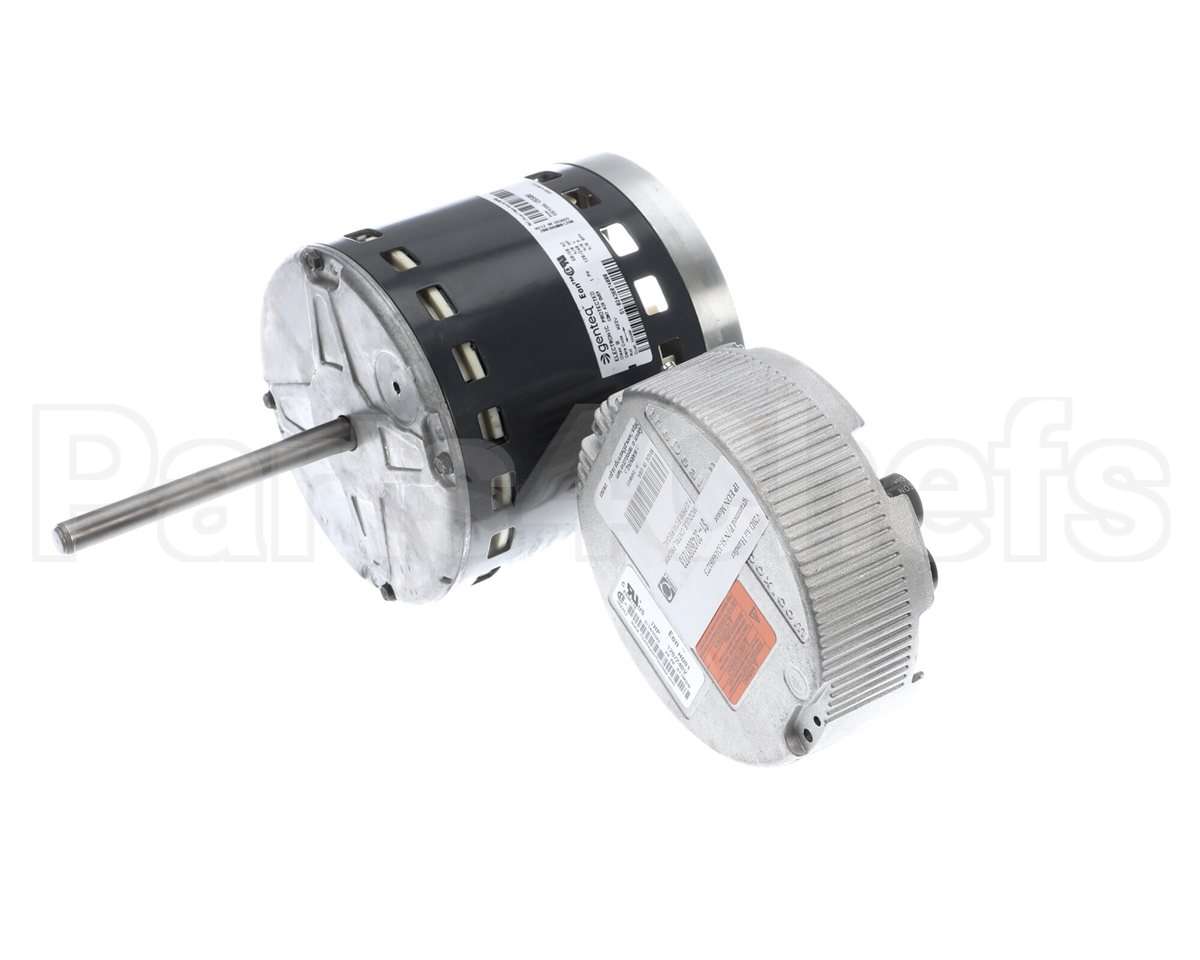 S1-32436074273 York Mtr,Blw,Prgrm,1.0,Prm Ecm,Regal
