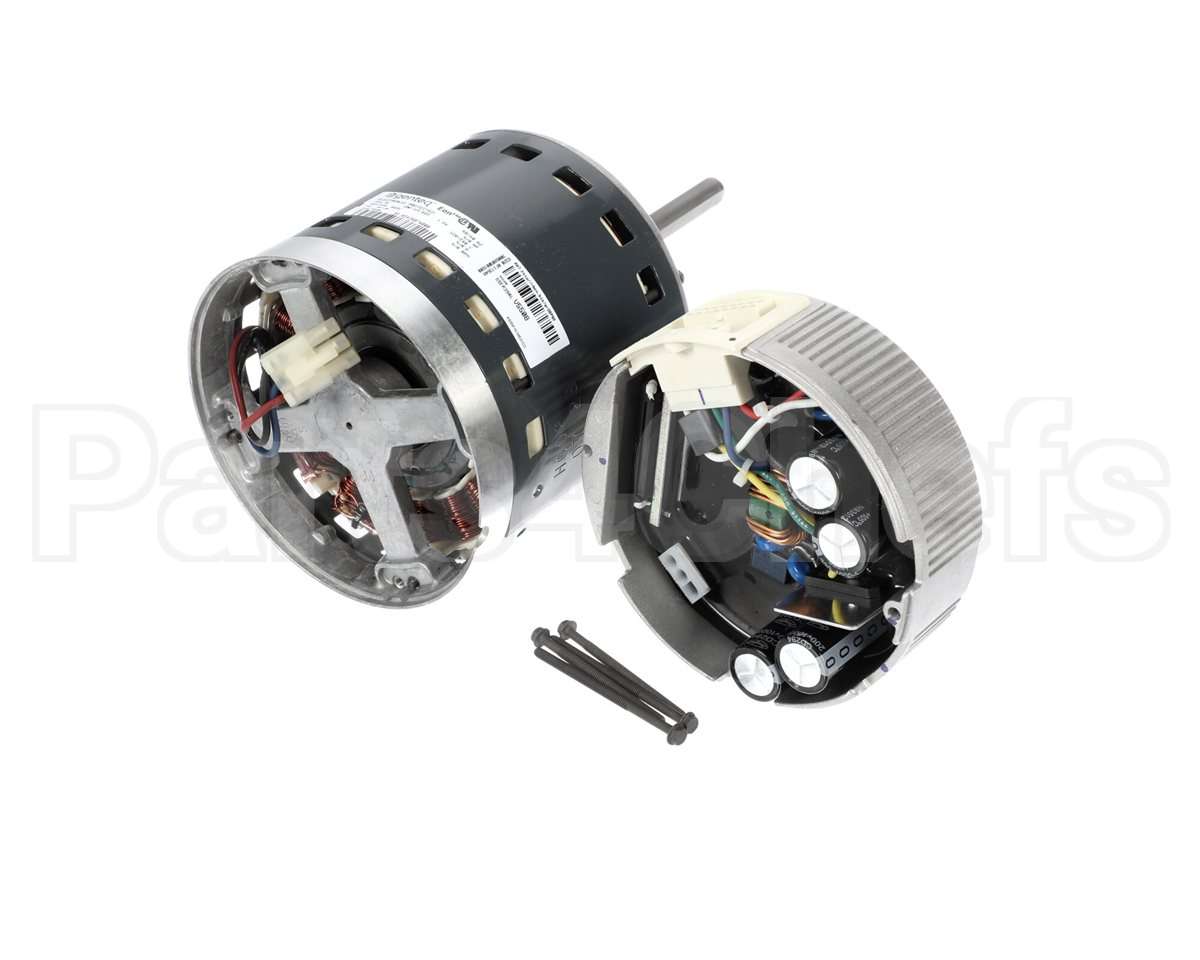 S1-32436074551 York Mtr,Blw,Prgrm,1.0,Prm Ecm,Regal