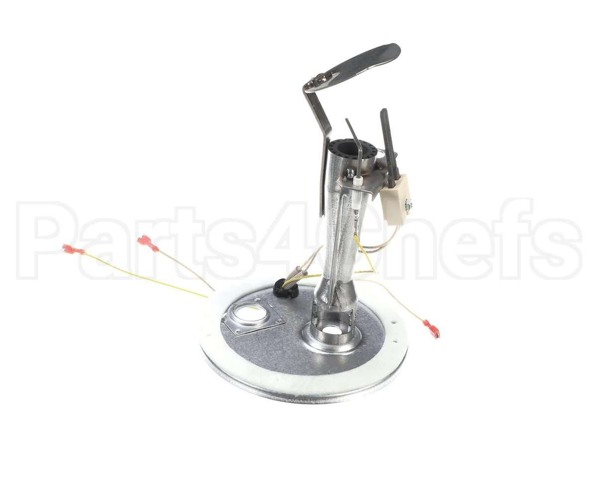 S1-37319801403 York Burner Assembly