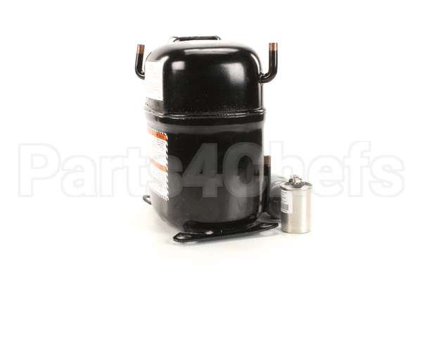 SA0051 Hoshizaki Sa0051 Compressor W
