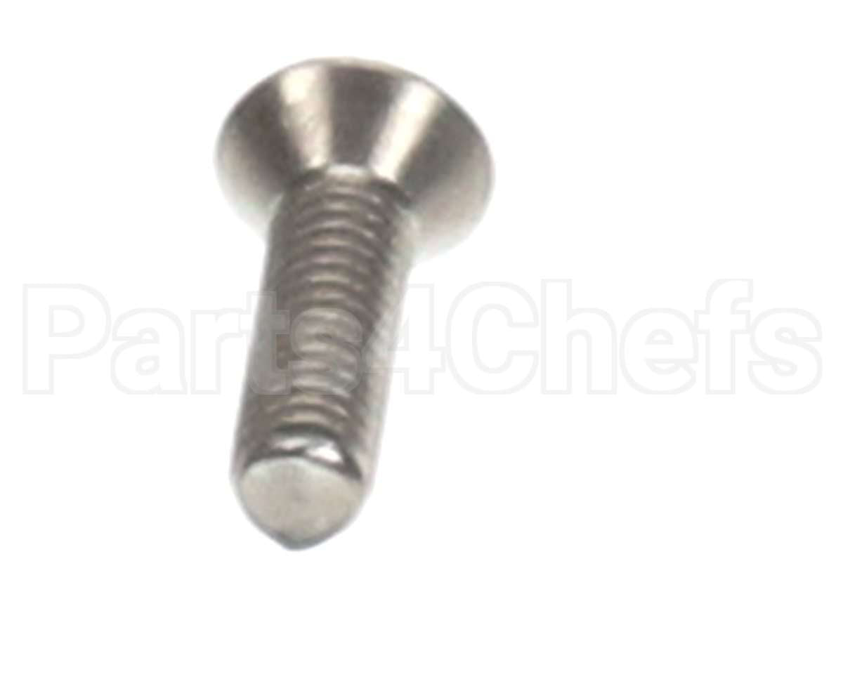 SC-23102 Alto Shaam Screw,M3X0.5X10Mm Flat