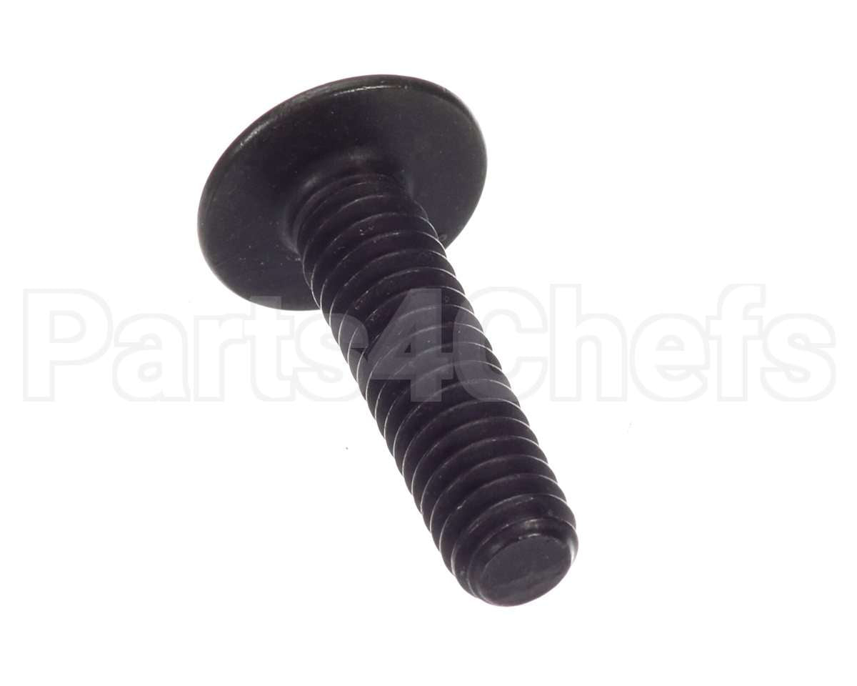 SC01-251 Henny Penny Screw-1/4-20X1 Hex Soc Cap