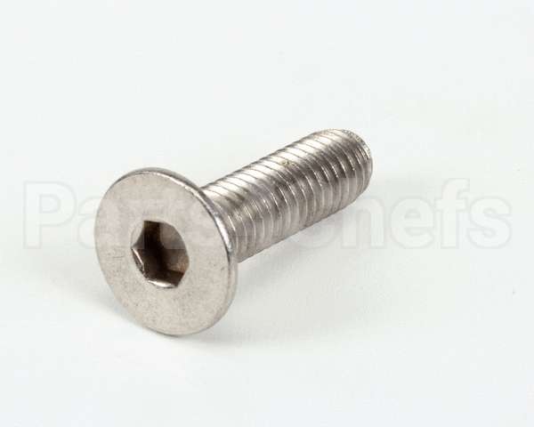 SCR437 Bki Screw,M6 X 22 Soc Flt