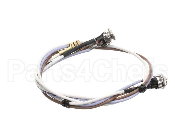 SL300970252 Carpigiani Full Lid Wiring Gbcold