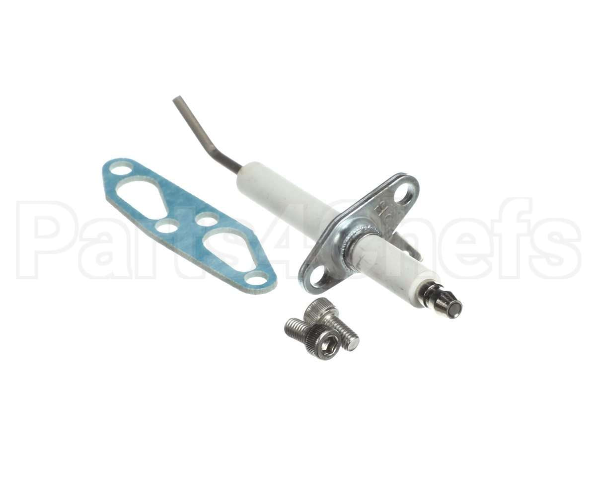 SP20794 Rheem Spark Electrodue W/Gasket