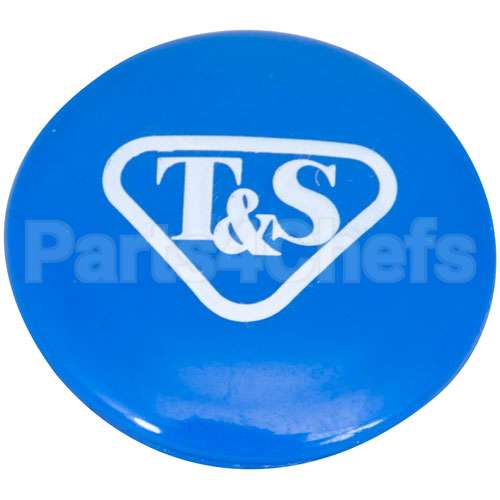 TS019363-45 Compatible TS Brass Blue Button