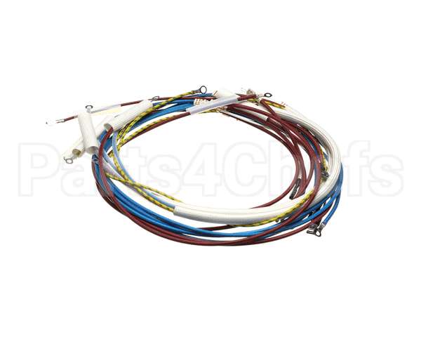 U00700 Globe Wiring Kit