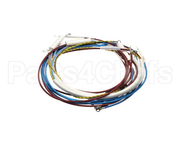 U00700 Globe Wiring Kit