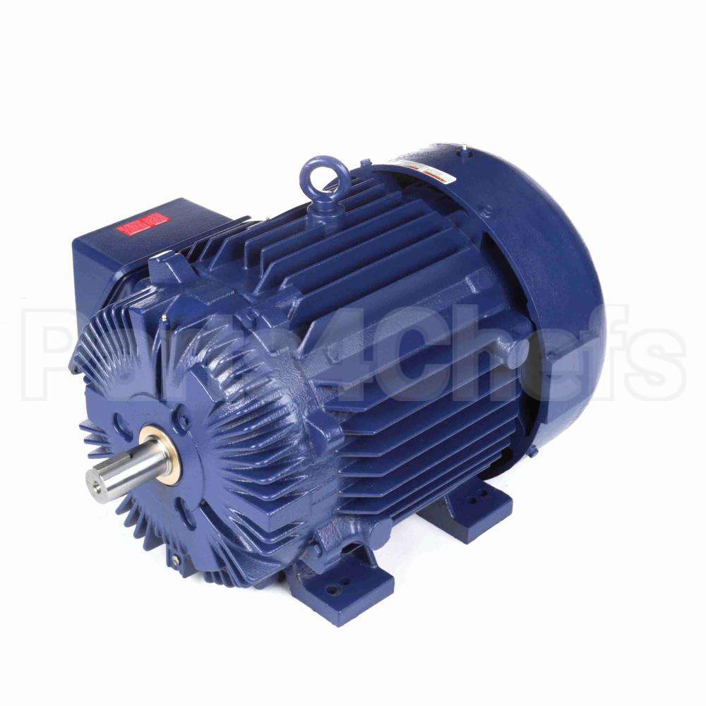 W591A Marathon Motor