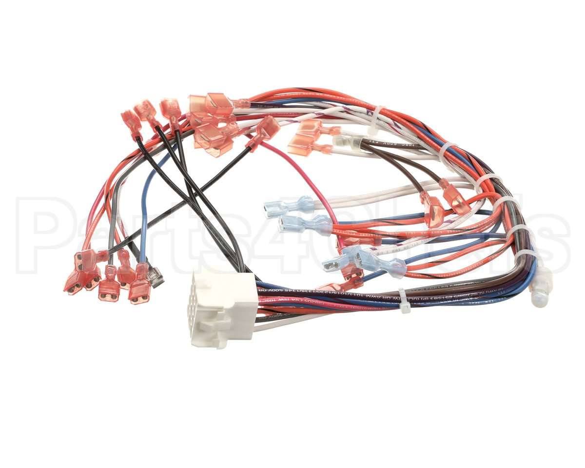 WHT300951 Cleveland Control Panel Harness; 22C Et3.1Mcs,208/