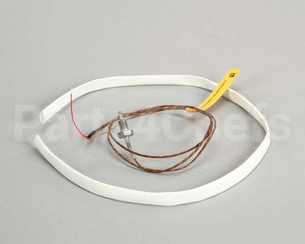 WS-63927 Wells Probe T-Couple 208/240V