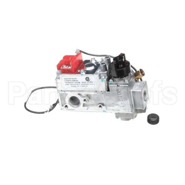 WS-WL1000 Compatible Wells Vlv, Gas Wg Ser Grid Grandmate