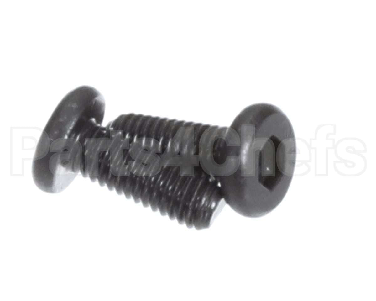 X00556 Globe Motor Mounting Screw