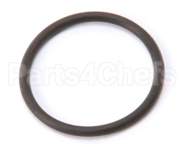 X10103 Globe O Ring