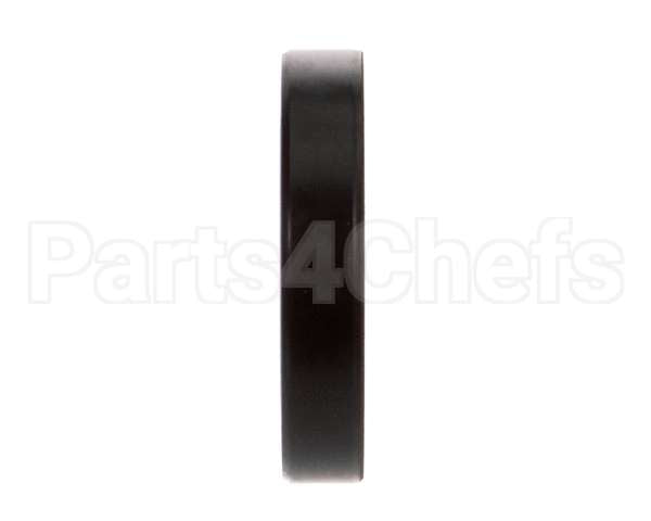 X10105 Globe Oil Seal