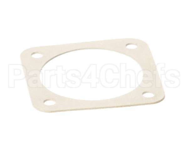 X30059-1 Globe Gasket (Gear Shift)