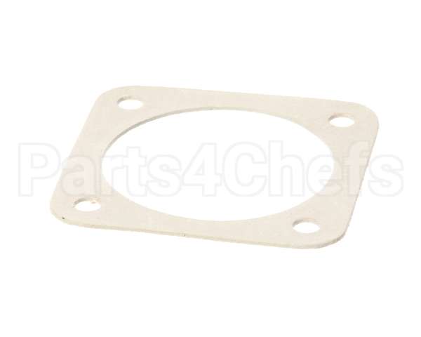 X30059-1 Globe Gasket (Gear Shift)