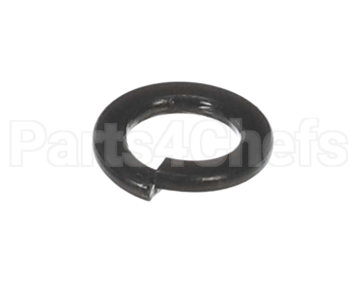 X30198 Globe Washer