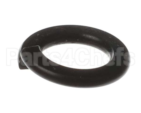 X80B02 Globe Spring Washer