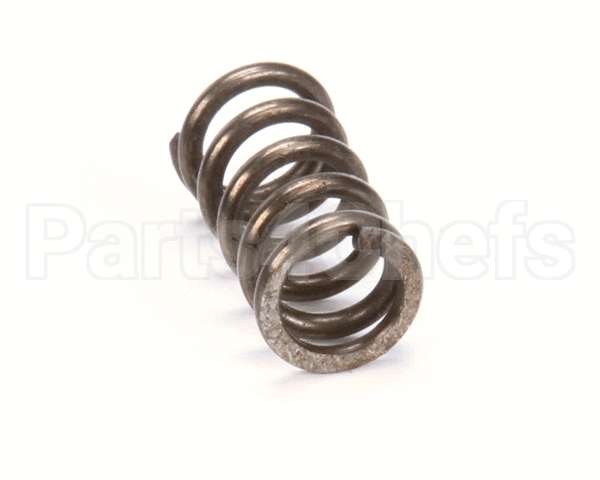 X80E20 Globe Spring