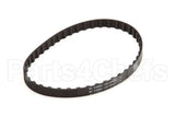 00-116634 Hobart Belt