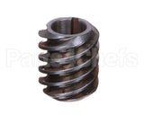 00-294193 Hobart Worm Gear