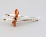 00-354444-00001 Vulcan Hart Electrode Assembly