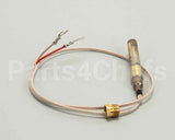 00-410839-00004 Vulcan Hart Thermopile