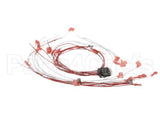 00-424198-000G1 Vulcan Hart Wire,Set Assembly.