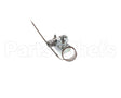 00-498096-0550P Vulcan Hart Valve, 550F Thermostat Combo