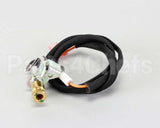 00-498621-0000A Vulcan Hart Burner, Rrg Pilot Spark